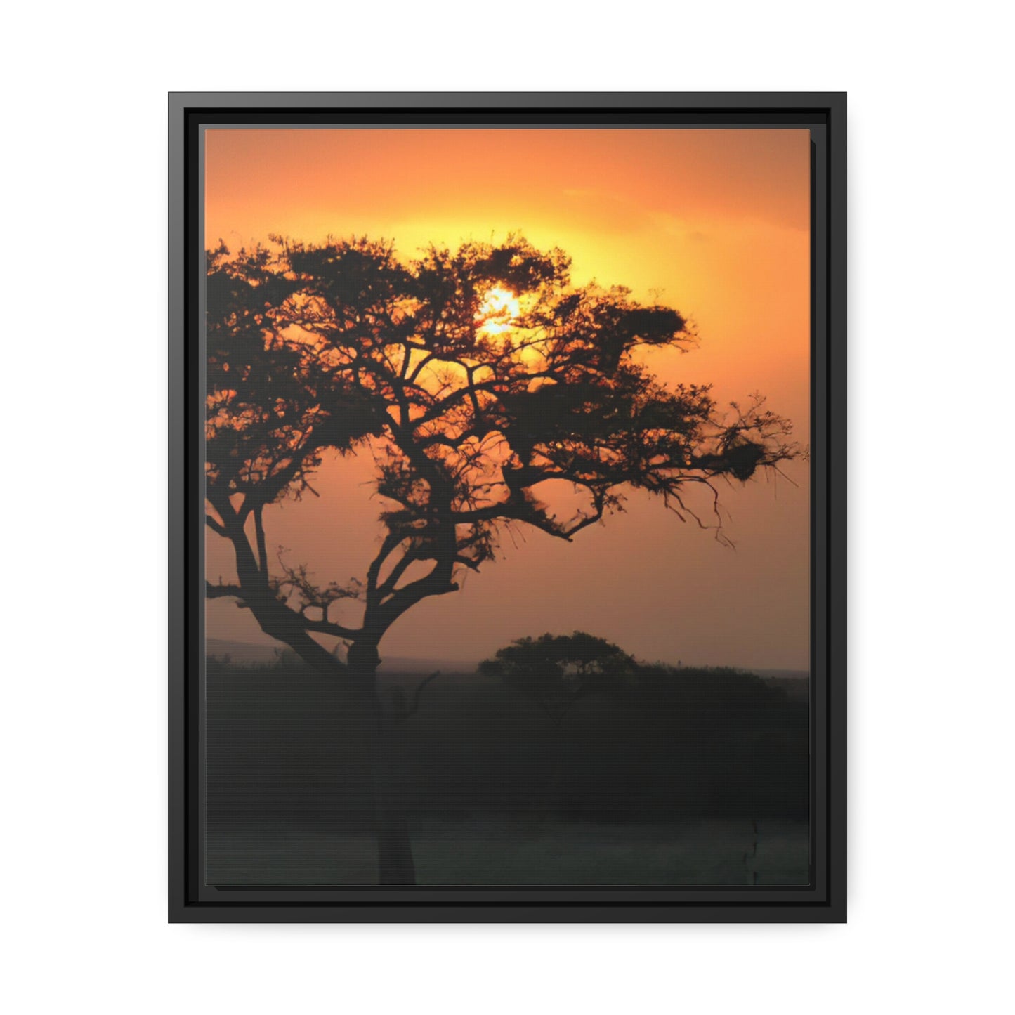 Framed Canvas : Serengeti Sunset