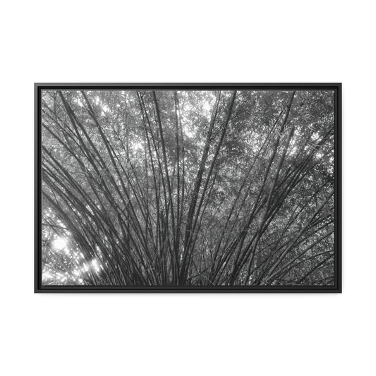 Framed Canvas : Woodland Wonder