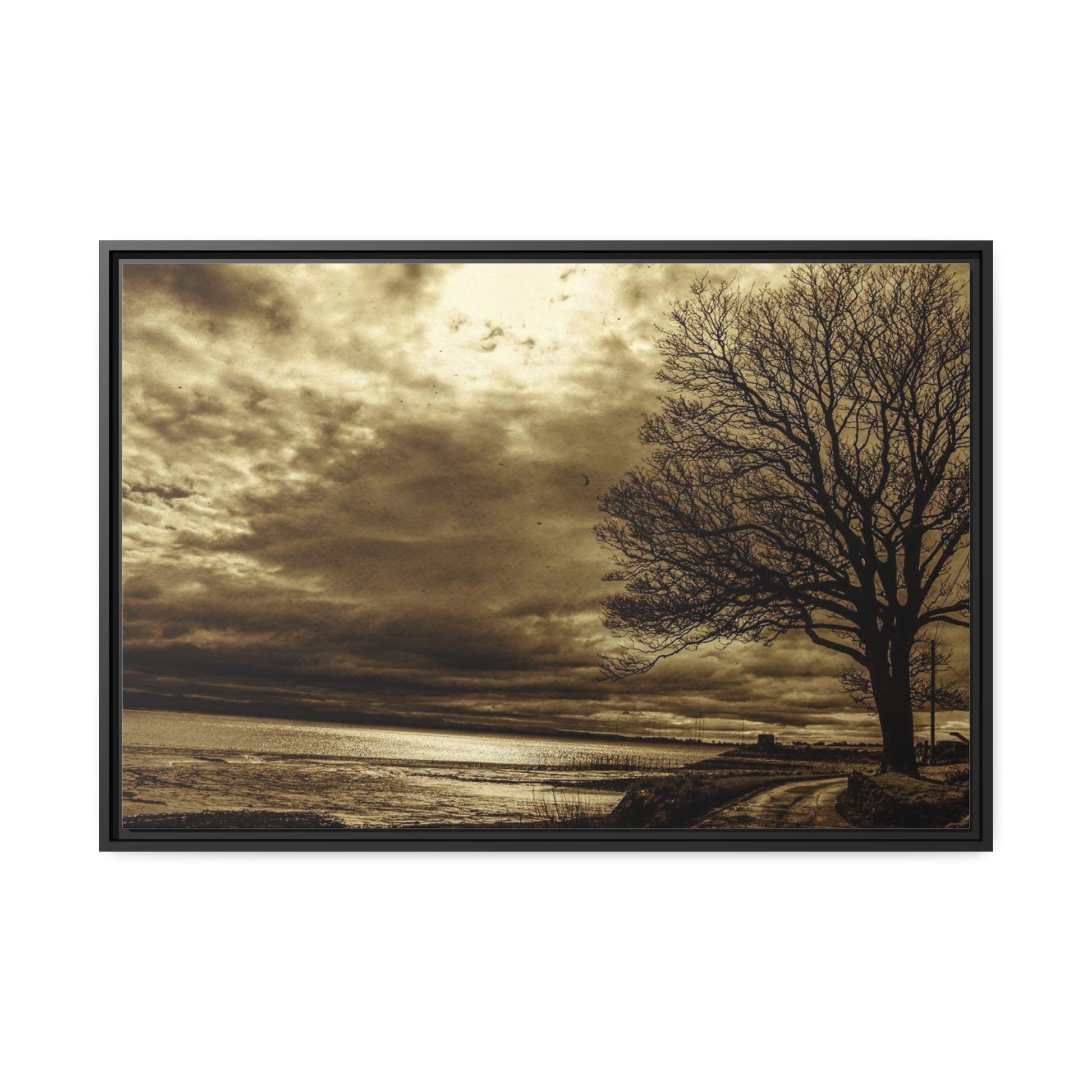 Framed Canvas : Winter Sky