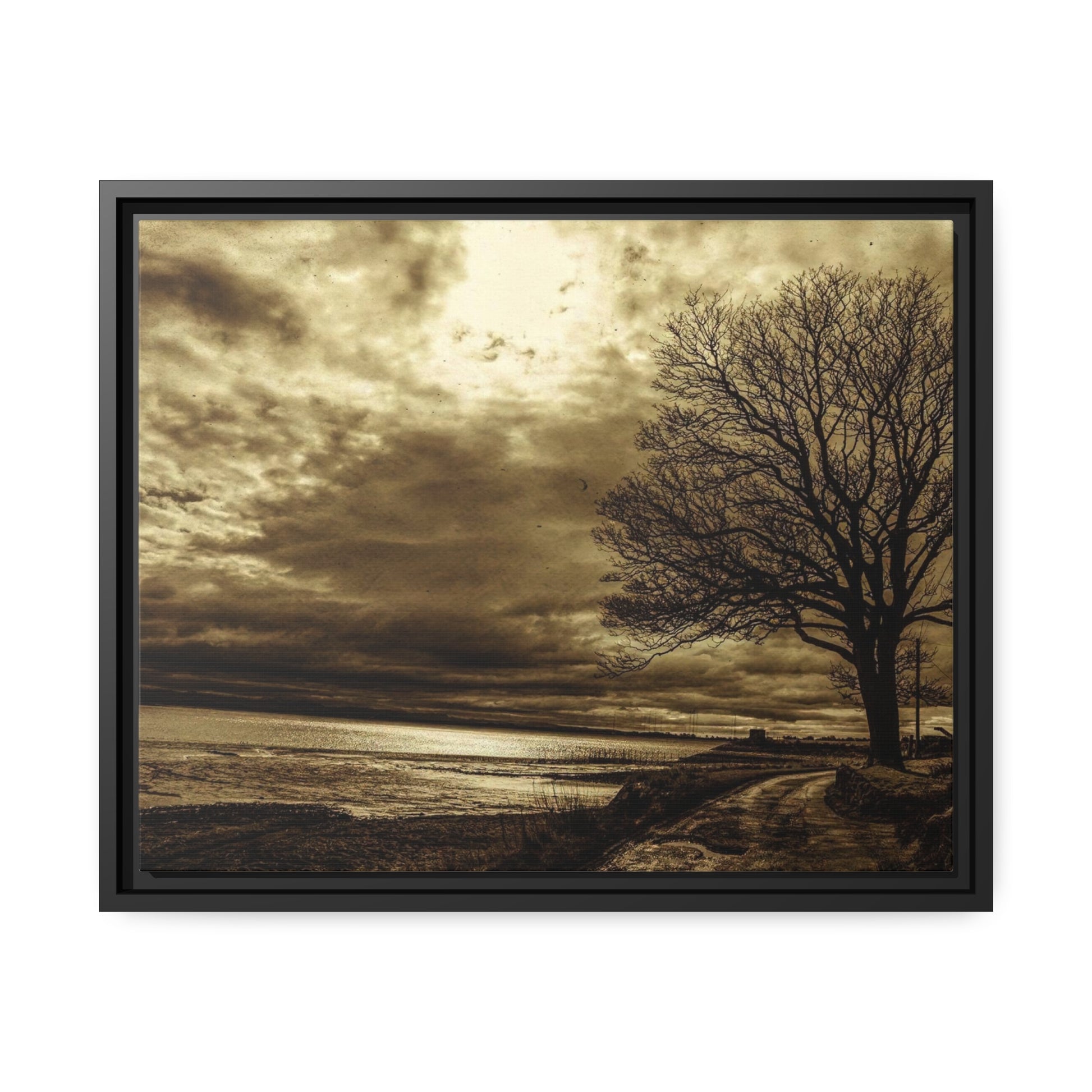 Framed Canvas : Winter Sky