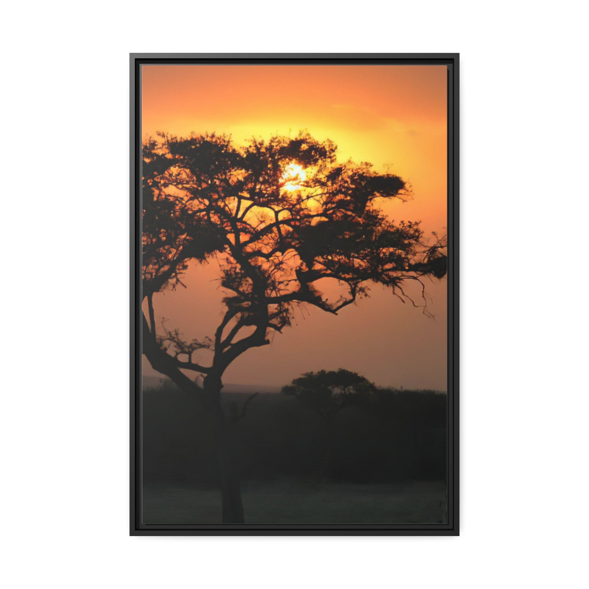 Framed Canvas : Serengeti Sunset