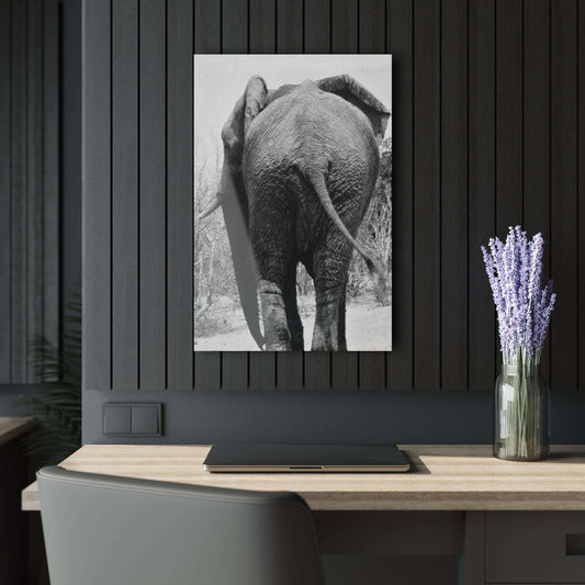 Acrylic Print : Elephant Bum