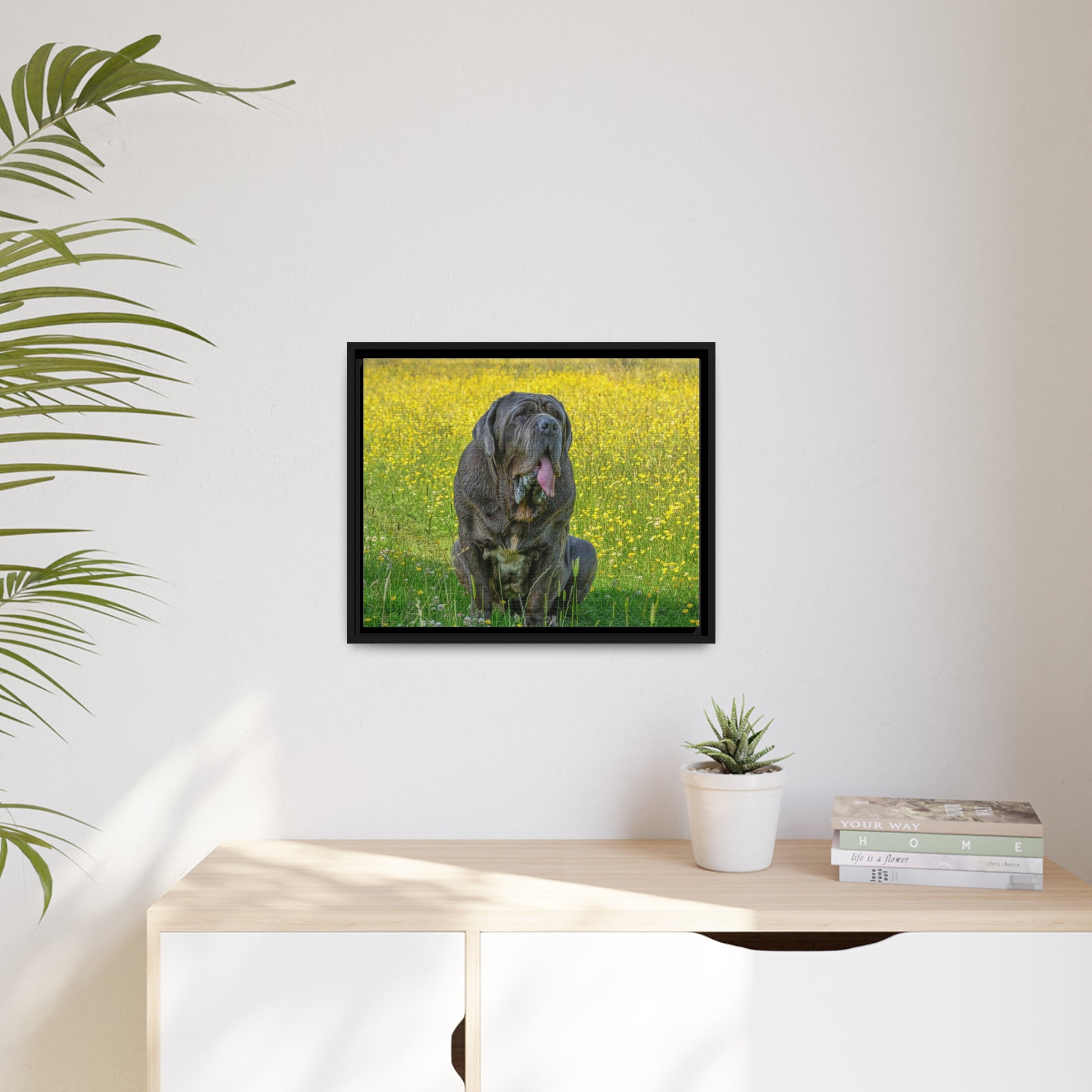 Framed Canvas : Neapolitan Mastiff