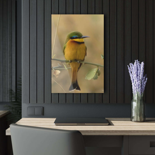 Acrylic Print : Beautiful Bird