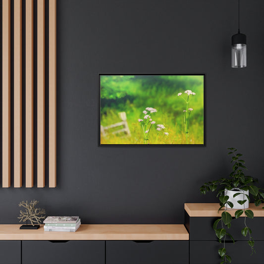 Framed Canvas : Spring Meadow