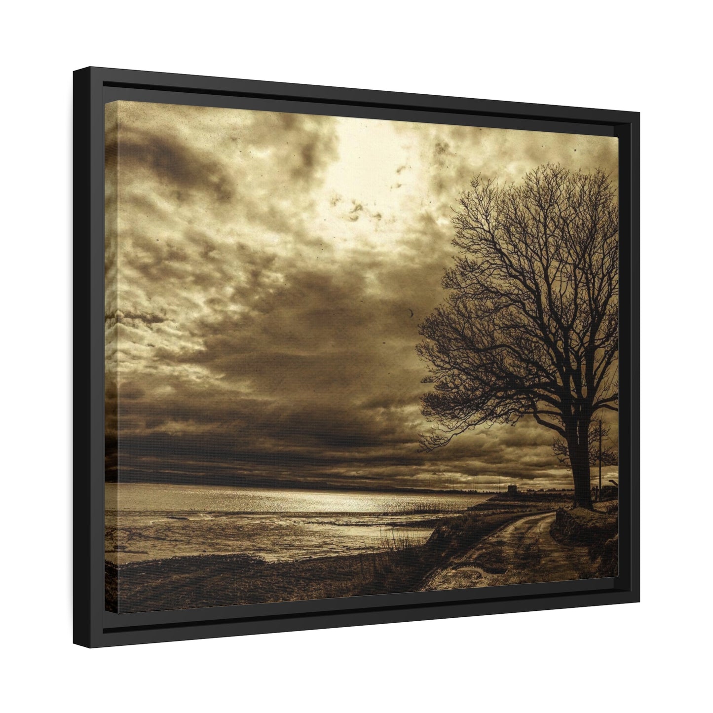 Framed Canvas : Winter Sky