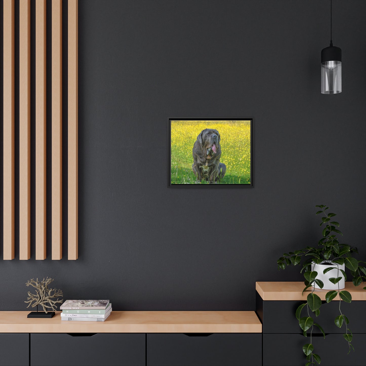 Framed Canvas : Neapolitan Mastiff