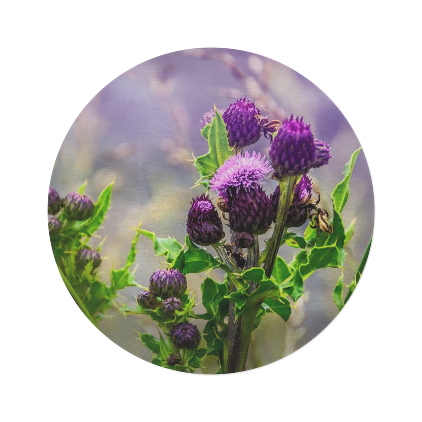 Round Rug : Scottish Thistle