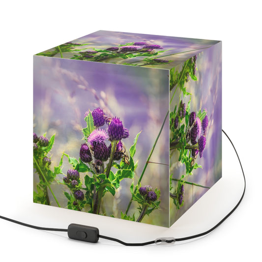 Light Cube Lamp : Scottish Thistle