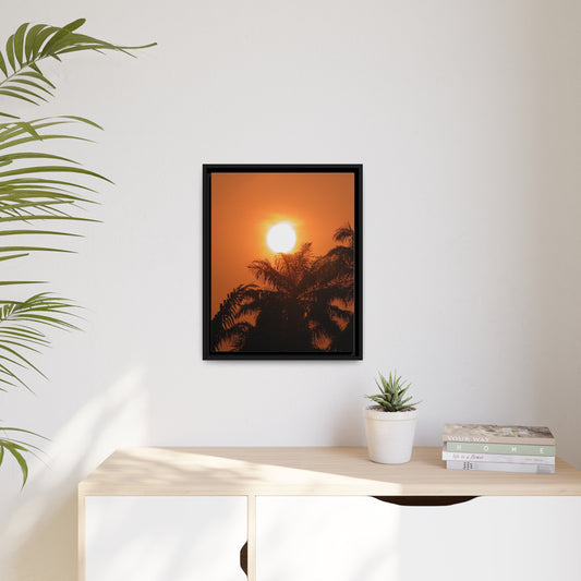 Framed Canvas : Tropical Sun