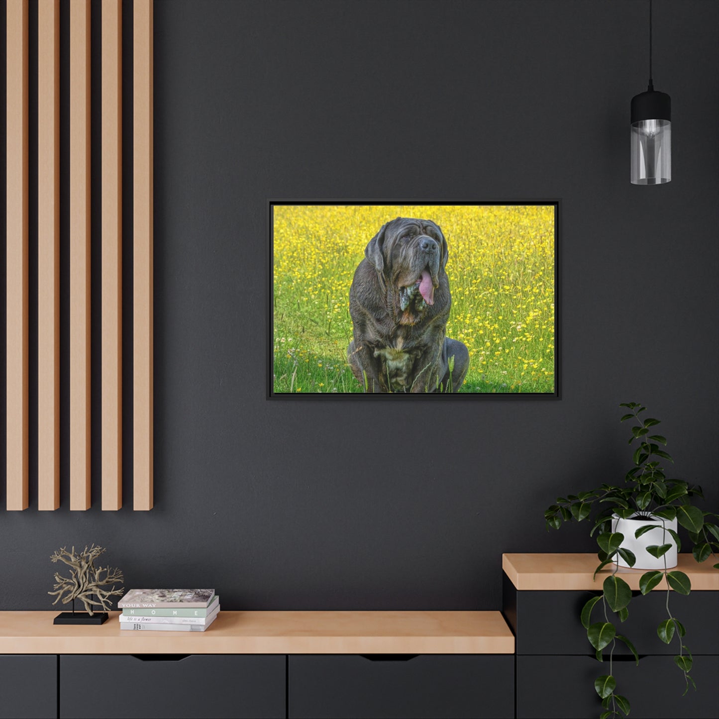 Framed Canvas : Neapolitan Mastiff