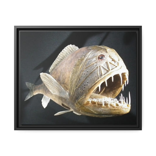 Framed Canvas : Fish Fossil