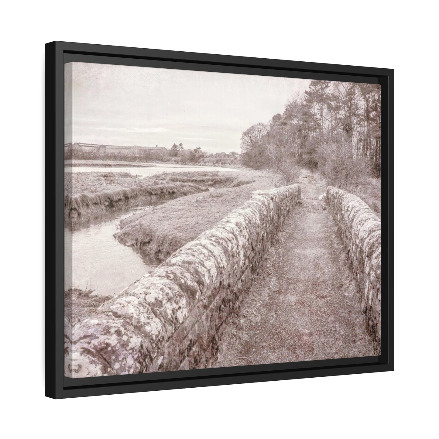 Framed Canvas : Country Road