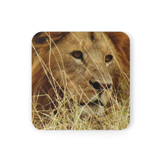 4 Coaster Set : Majestic Lion