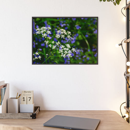 Framed Poster : Vibrant Flowers