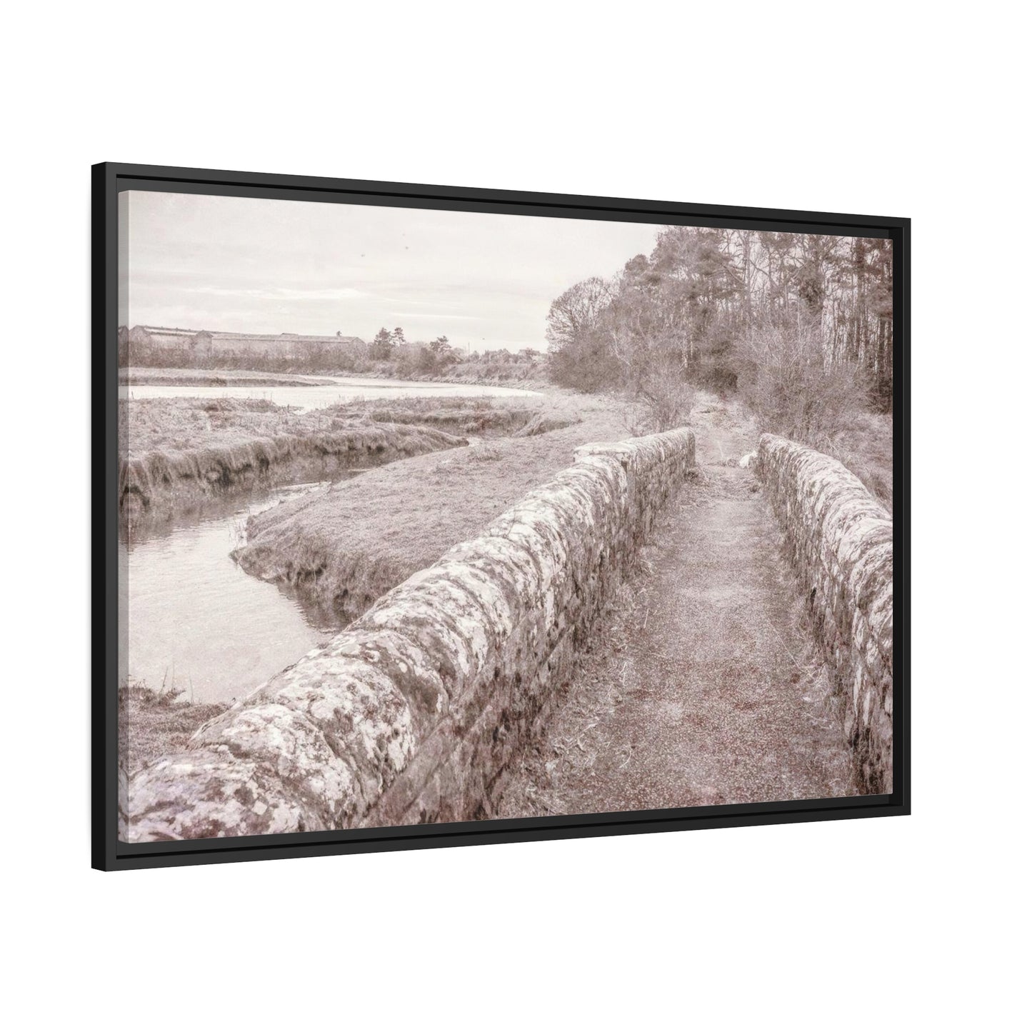 Framed Canvas : Country Road