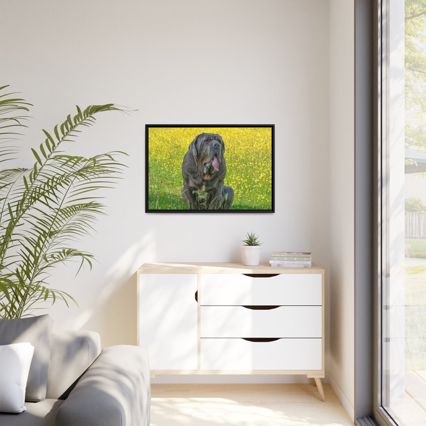 Framed Canvas : Neapolitan Mastiff