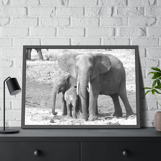 Framed Paper Poster : Elephant Mother & Babies