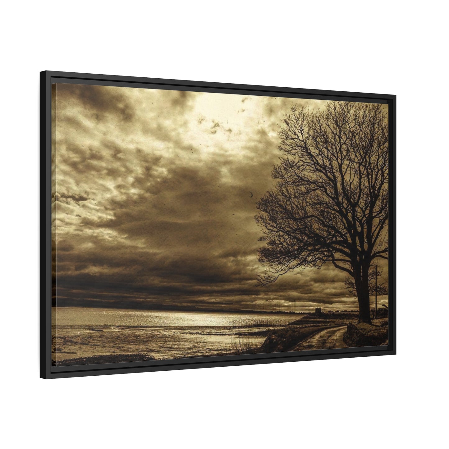 Framed Canvas : Winter Sky