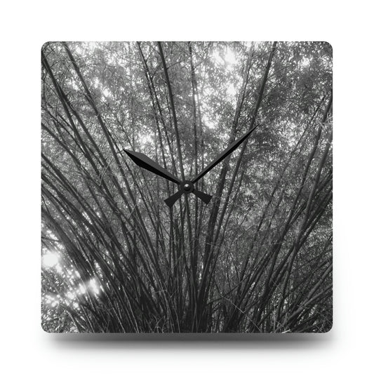 Square Clock : Black & White Woods