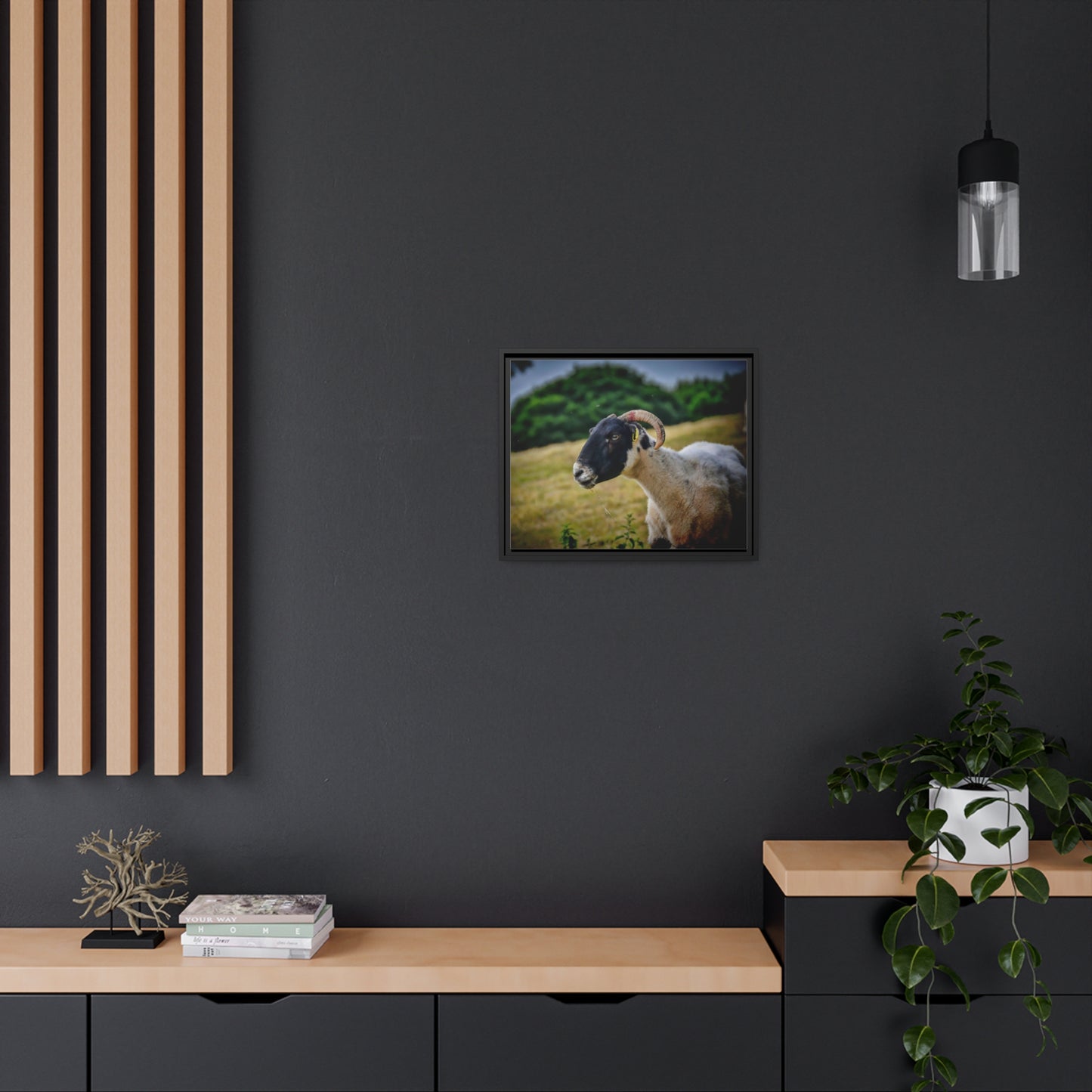 Framed Canvas : Scottish Ram